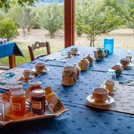Mulino Vecchio Del Cilone كاستيجليون فيورنتينو